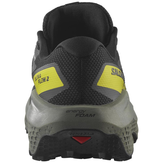 Salomon Ultra Flow 2 GTX